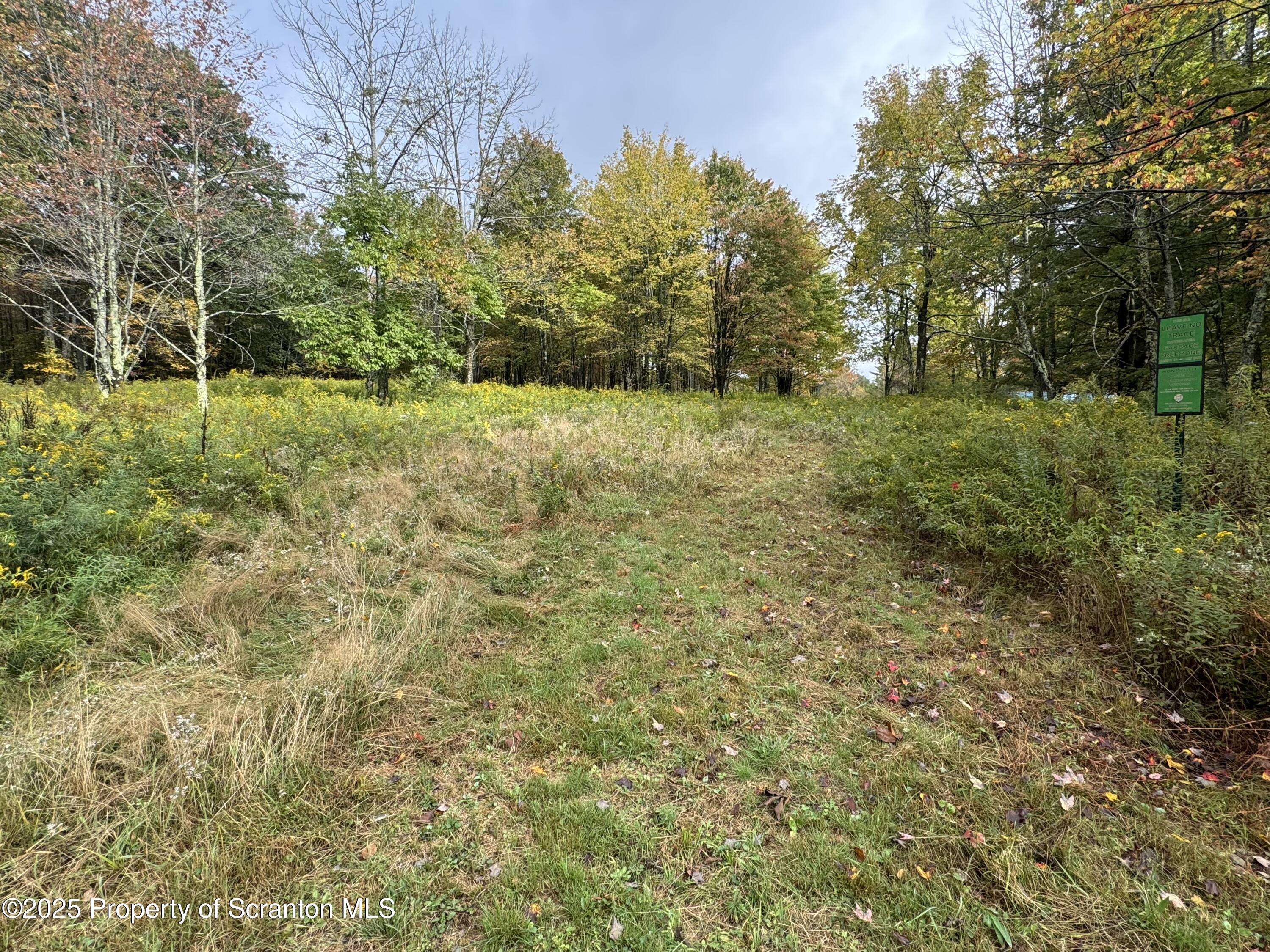 636 Darrow Road New Milford, PA 18834 - Photo 17 of 25 a view of outdoor space and trees
