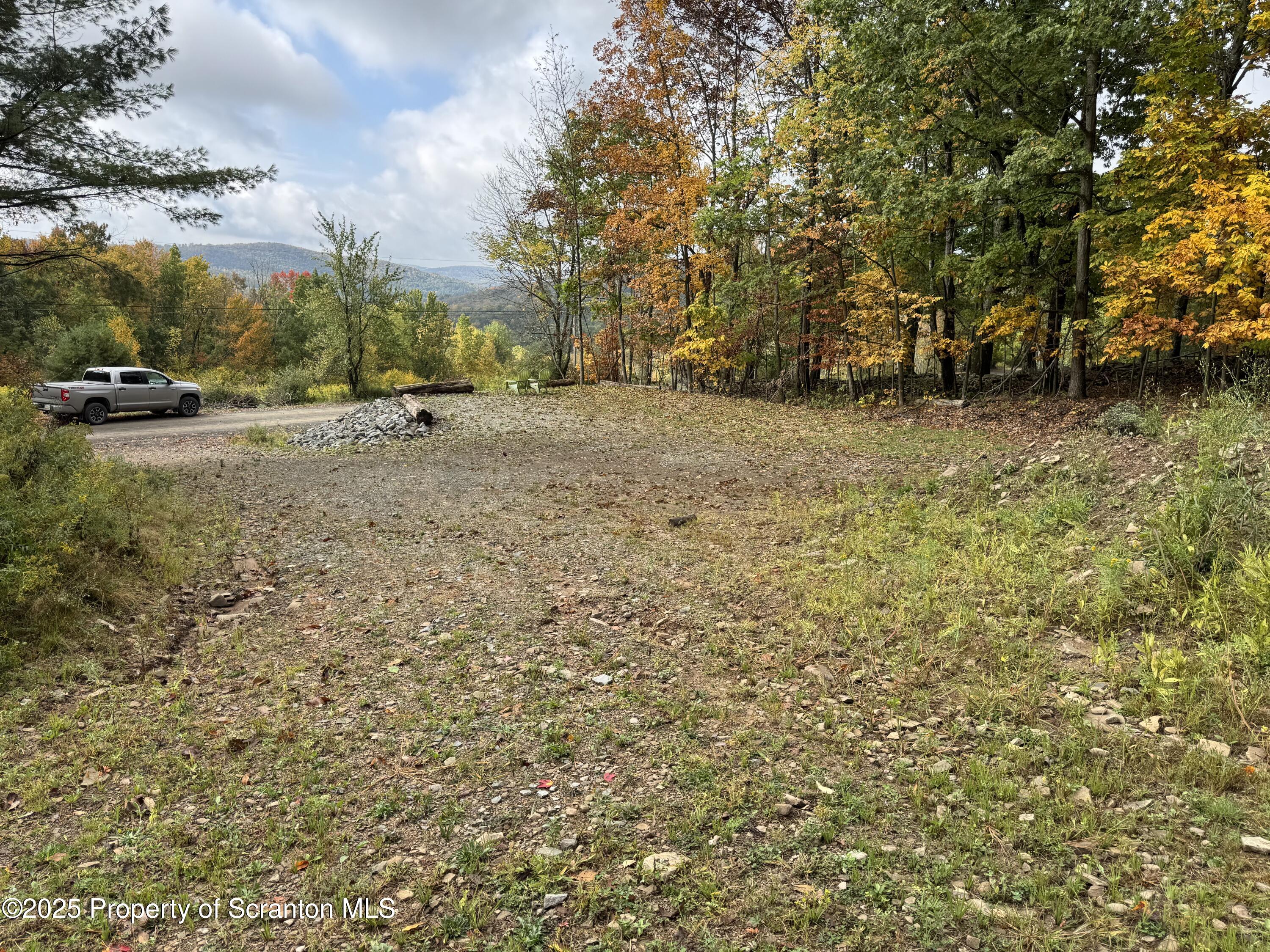 636 Darrow Road New Milford, PA 18834 - Photo 18 of 25 a view of outdoor space with garden