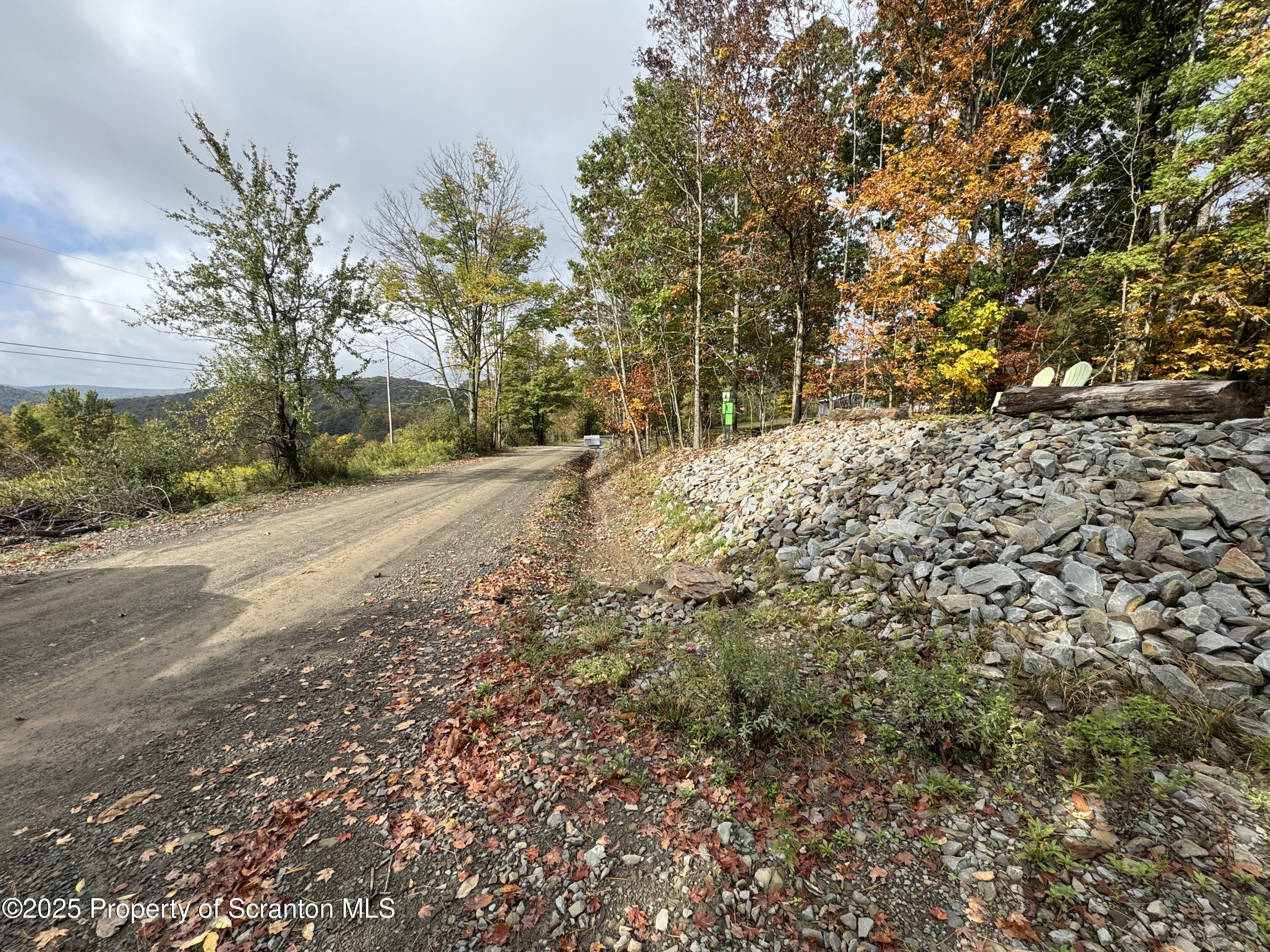 636 Darrow Road New Milford, PA 18834 - Photo 19 of 25 a view of a yard with plants and trees