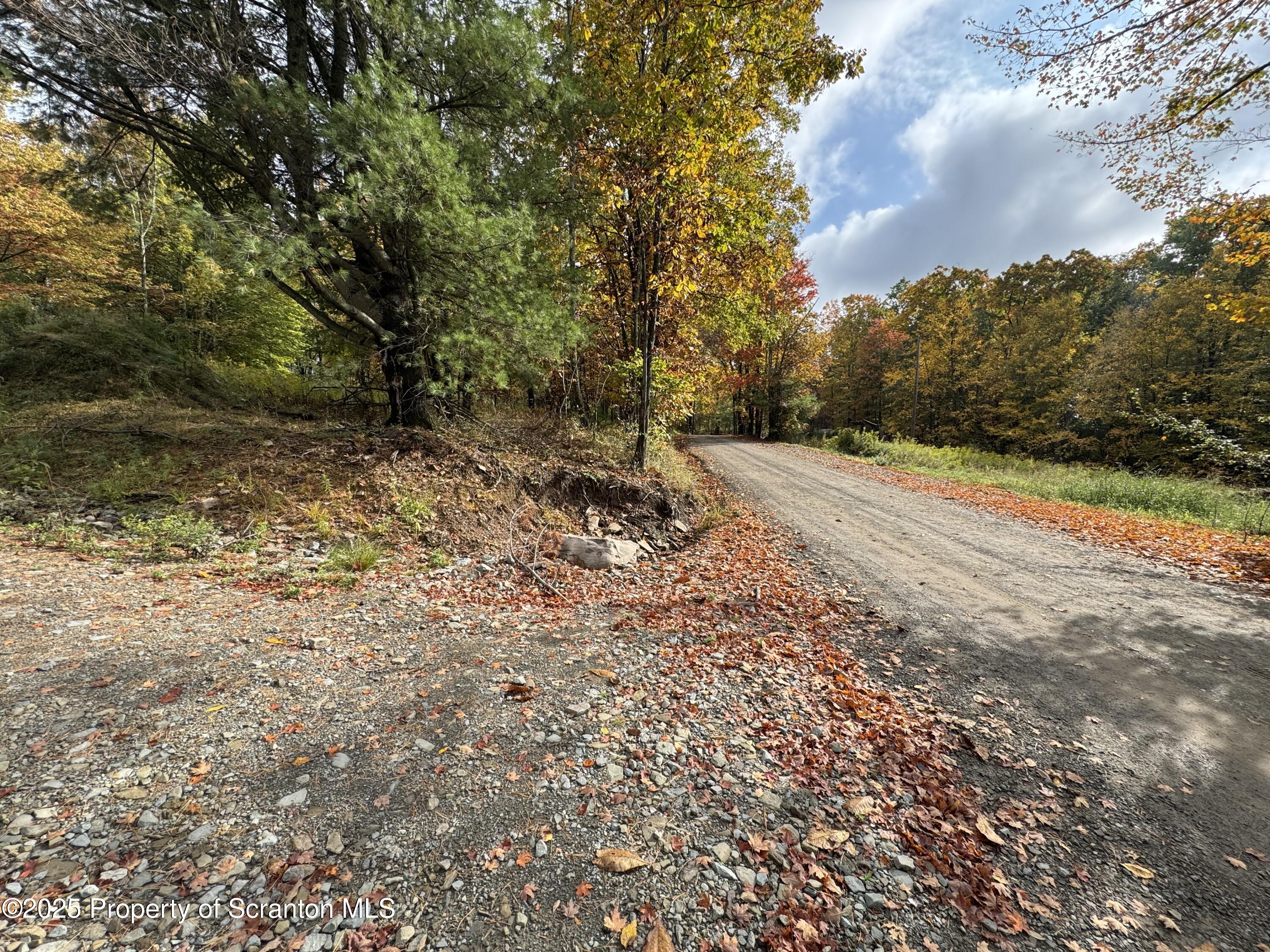 636 Darrow Road New Milford, PA 18834 - Photo 20 of 25 a view of a yard with plants and trees