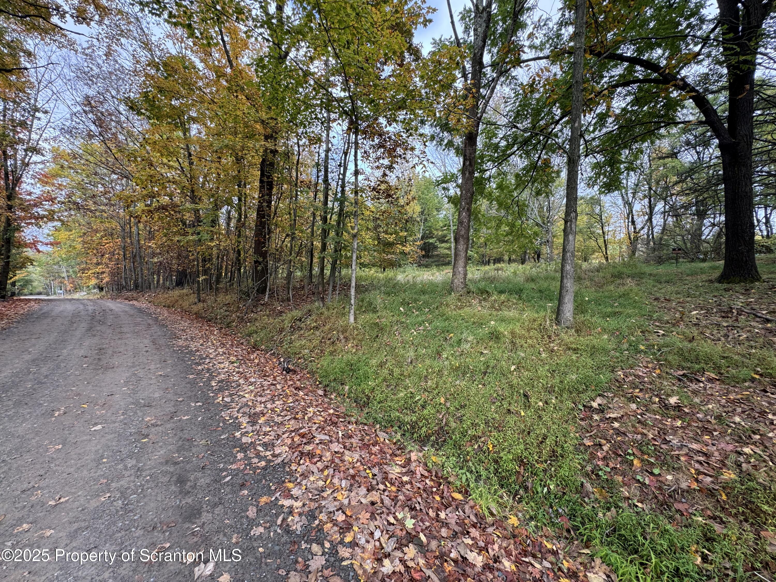 636 Darrow Road New Milford, PA 18834 - Photo 2 of 25 a backyard of a house with lots of green space