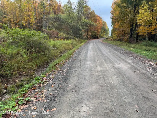 a view of a yard with a trees