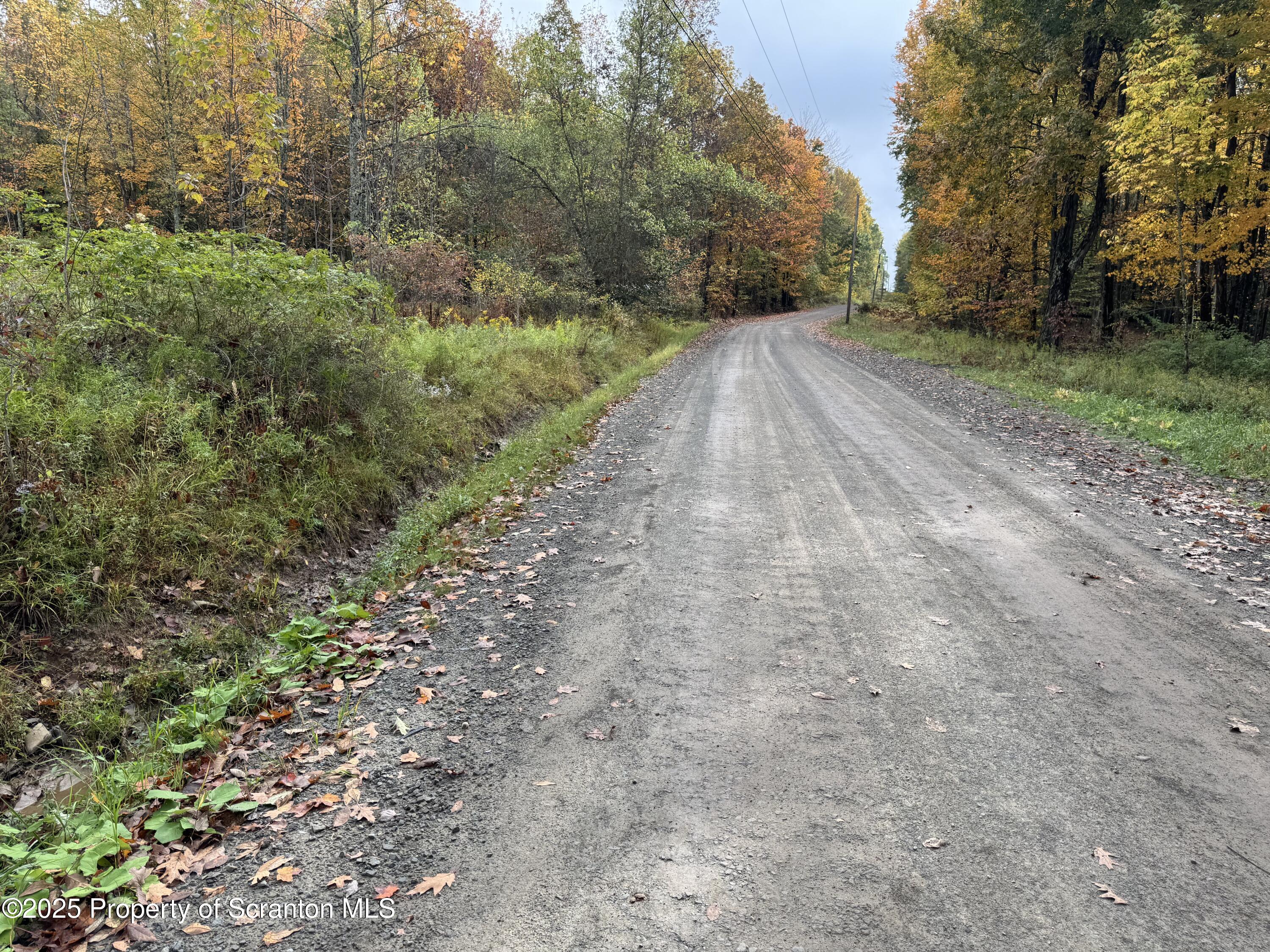 636 Darrow Road New Milford, PA 18834 - Photo 3 of 25 a view of a yard with a trees