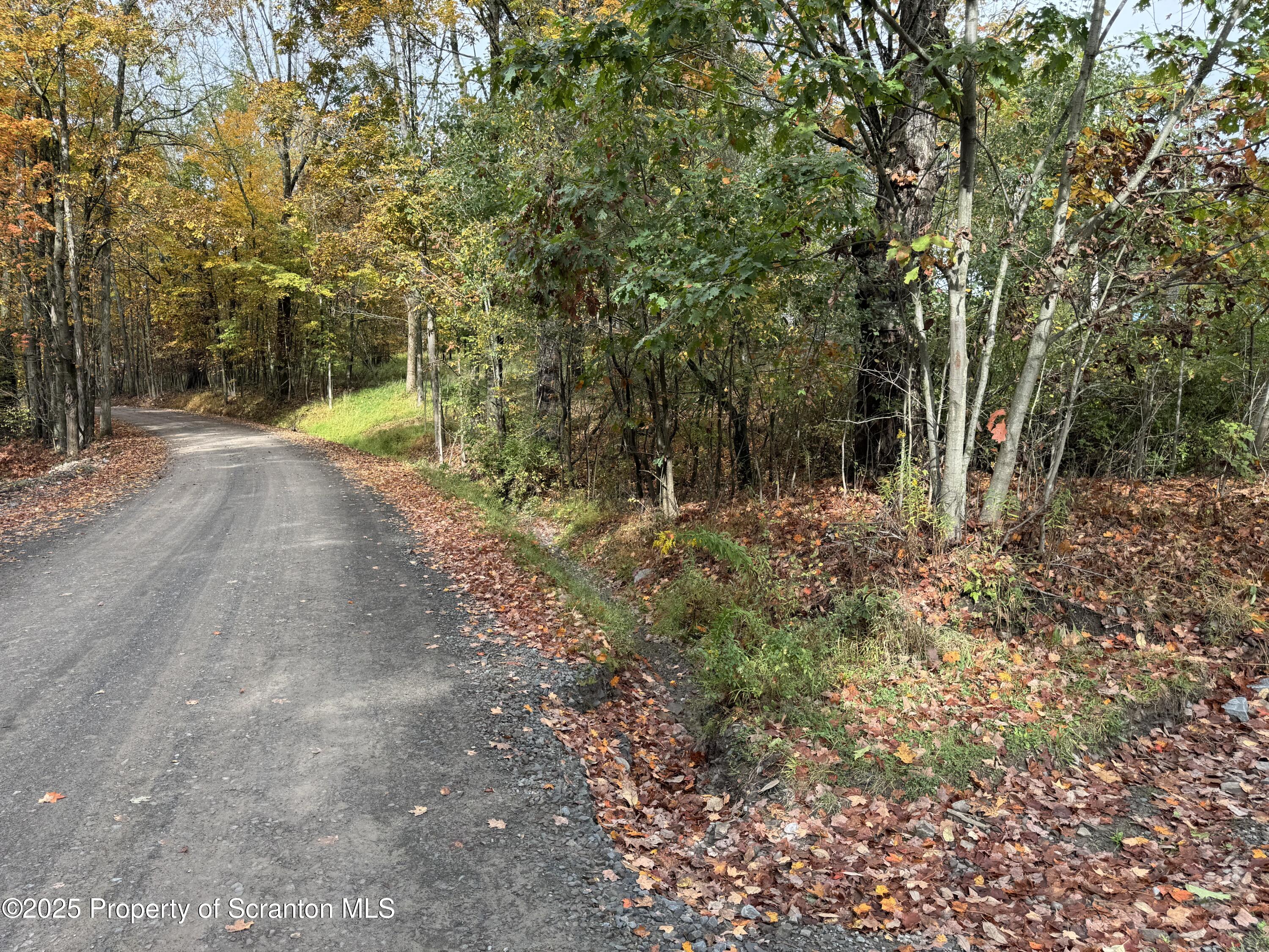 636 Darrow Road New Milford, PA 18834 - Photo 4 of 25 a view of a yard with plants and trees