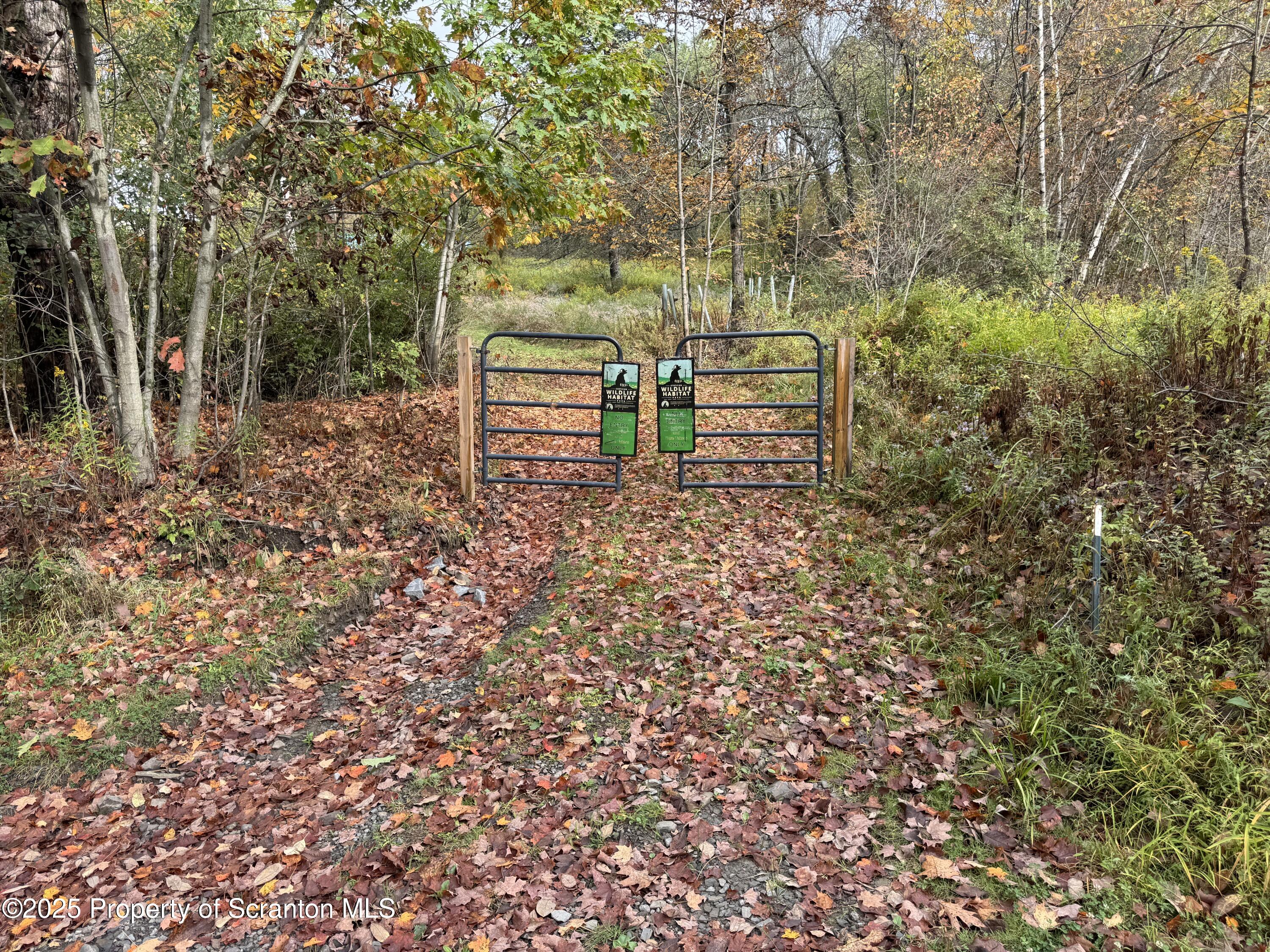 636 Darrow Road New Milford, PA 18834 - Photo 5 of 25 a backyard of a house with lots of green space
