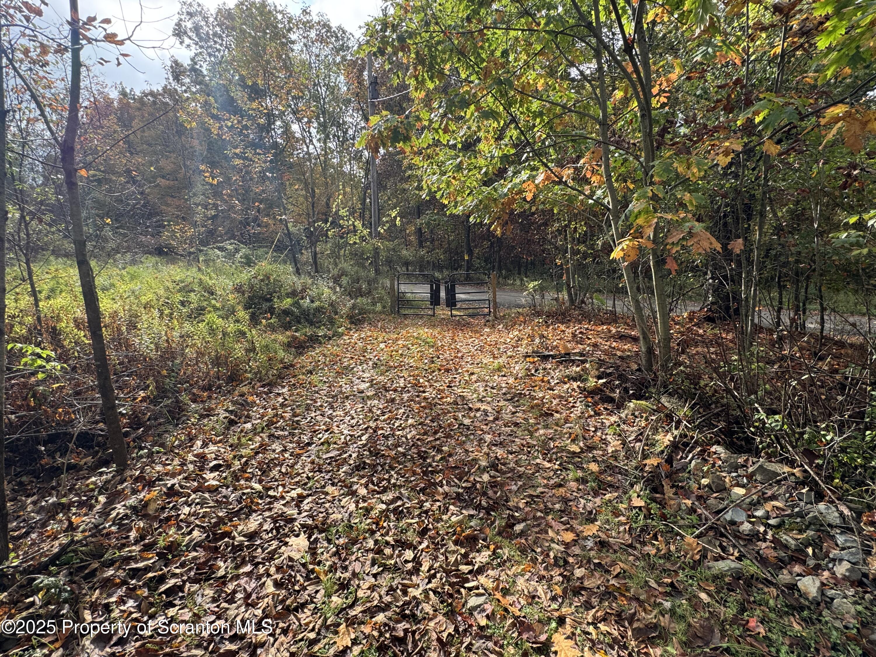 636 Darrow Road New Milford, PA 18834 - Photo 7 of 25 a backyard of a house with lots of green space