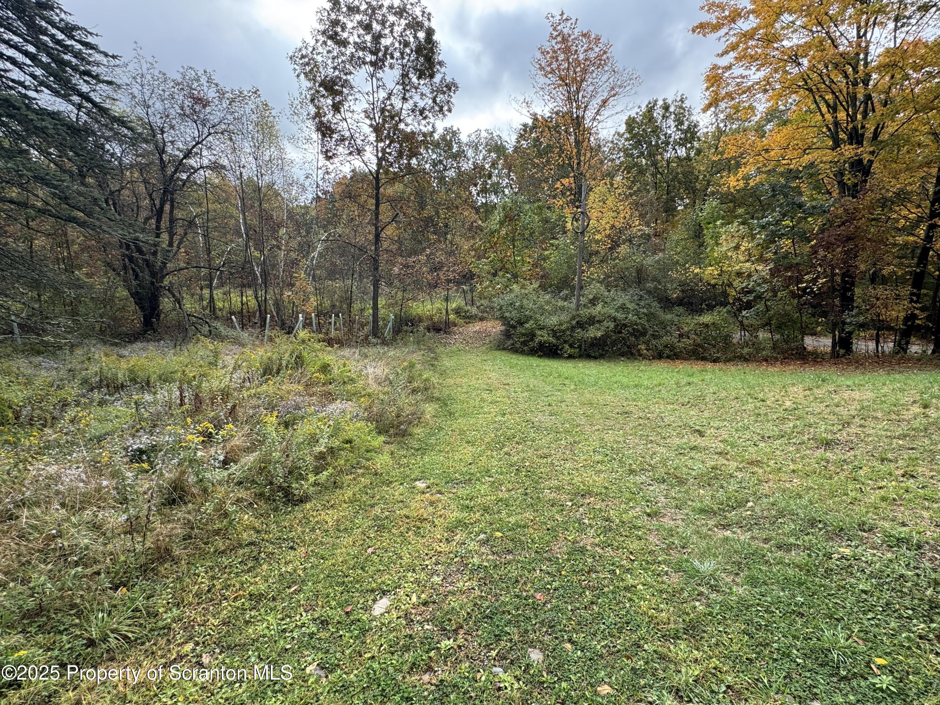 636 Darrow Road New Milford, PA 18834 - Photo 9 of 25 a view of a field with trees in the background