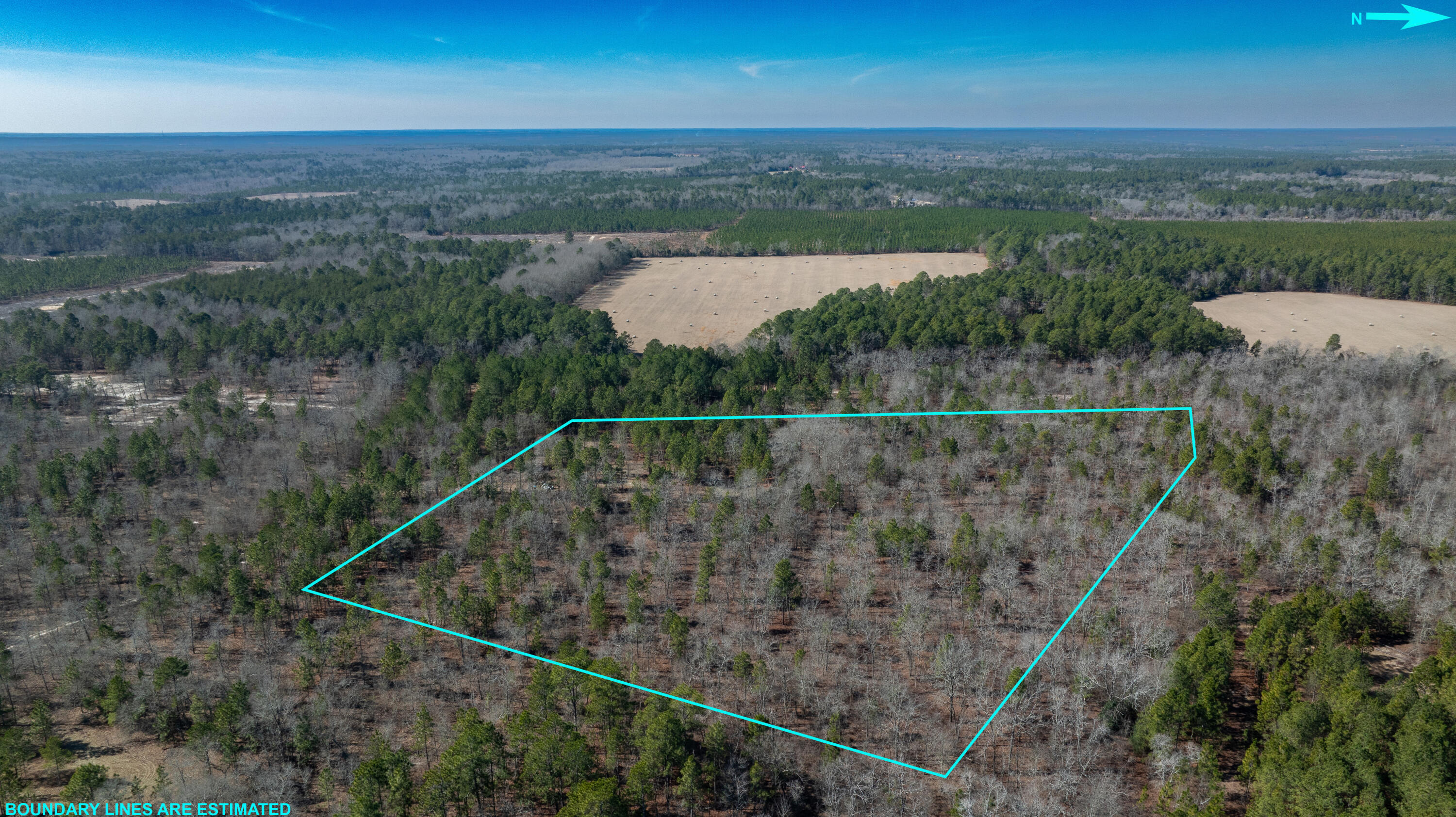 0 Sand Dam Road Wagener, SC 29164 - Photo 7 of 10