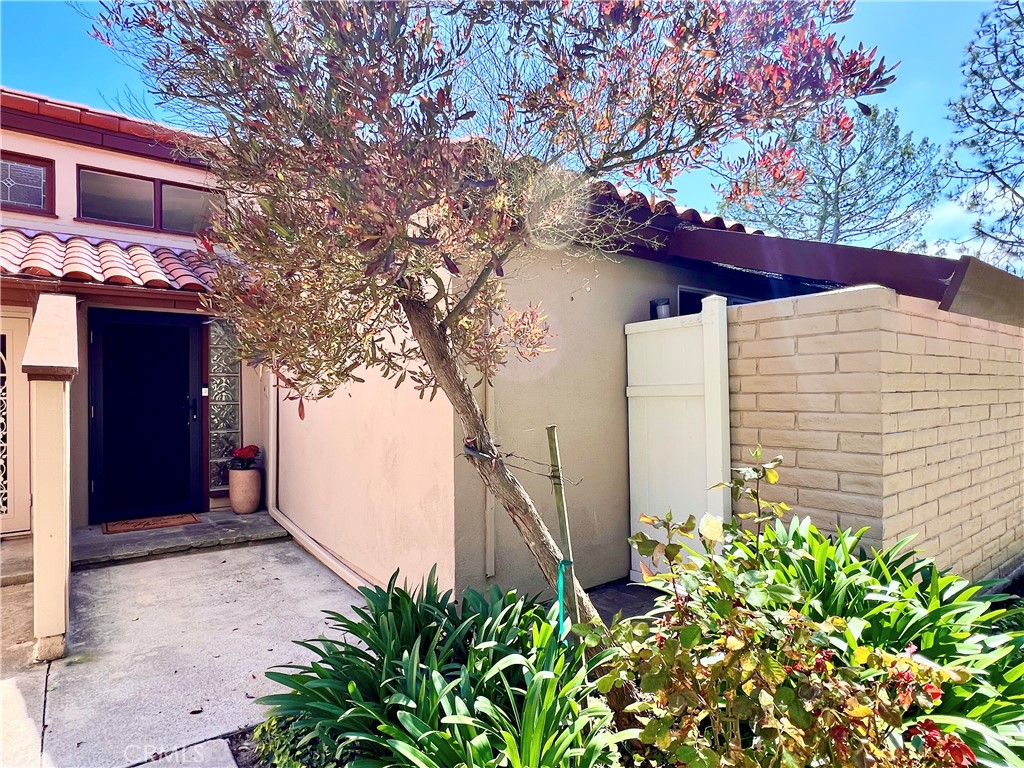 a view of a house with a tree