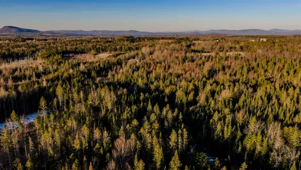 $85,000 | 2840 Dane Hill Road, Charleston, VT 05872