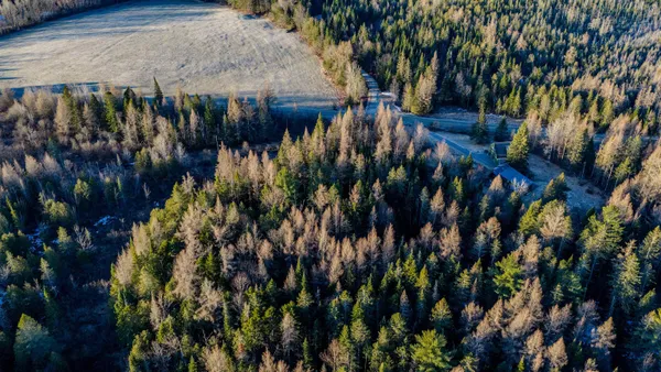 $85,000 | 2840 Dane Hill Road, Charleston, VT 05872