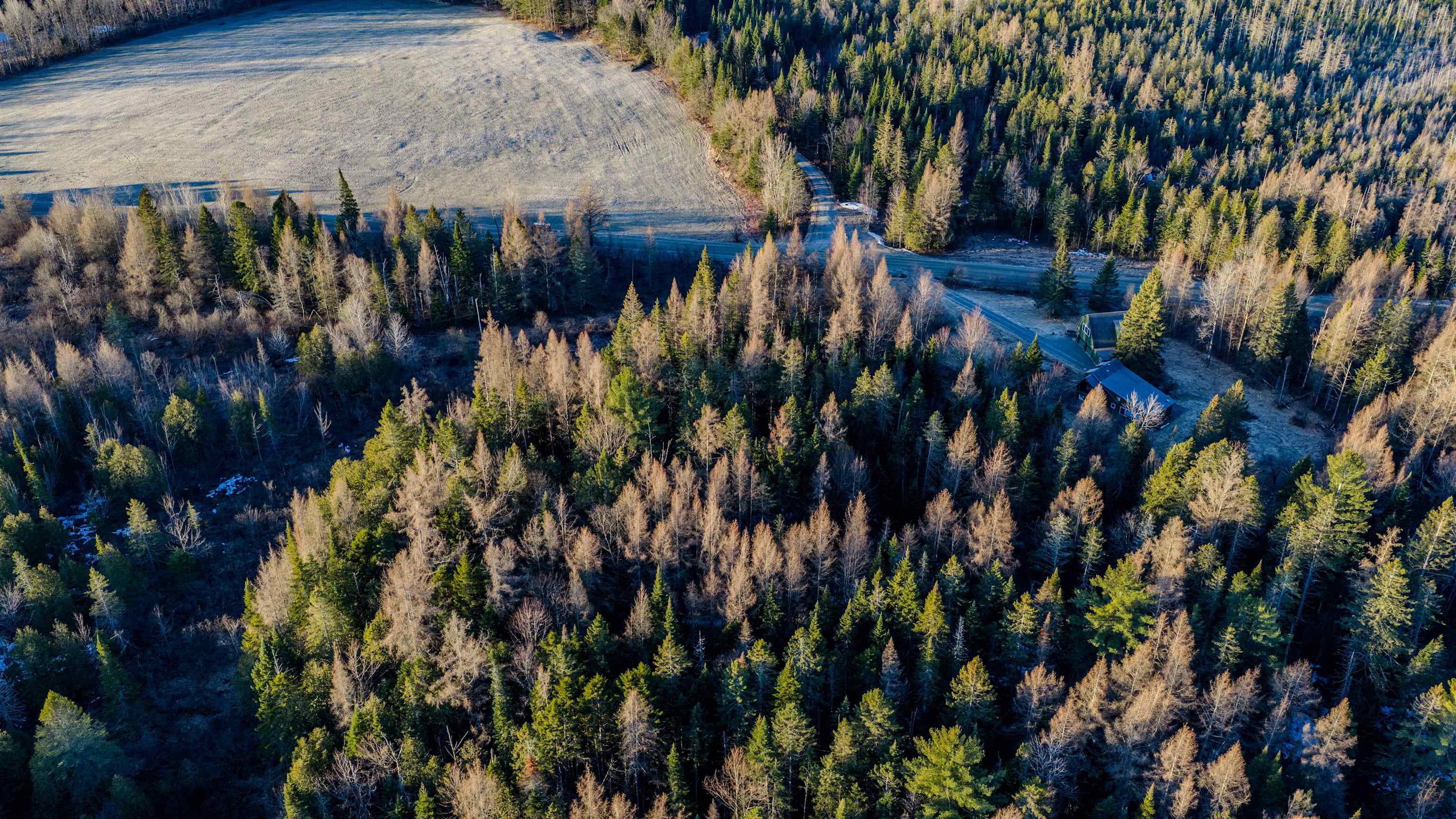 2840 Dane Hill Road Charleston, VT 05872 - Photo 6 of 11