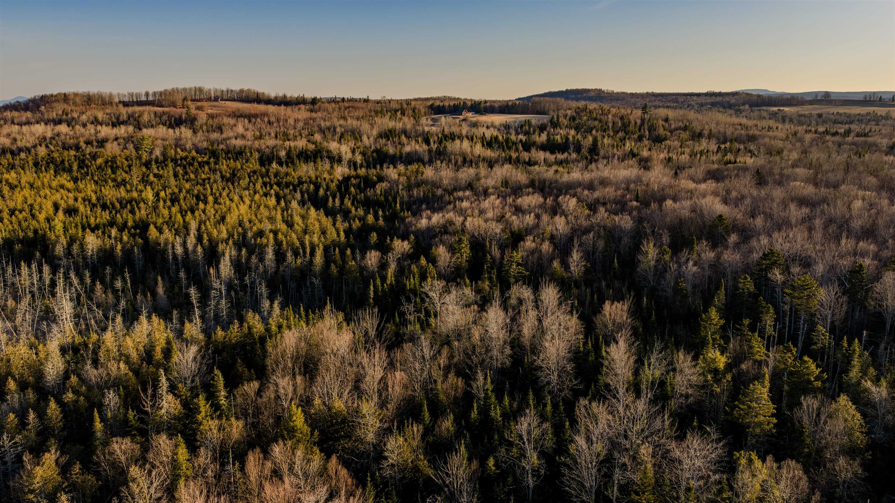 2840 Dane Hill Road Charleston, VT 05872 - Photo 8 of 11