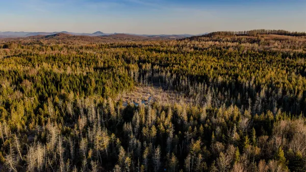 $85,000 | 2840 Dane Hill Road, Charleston, VT 05872