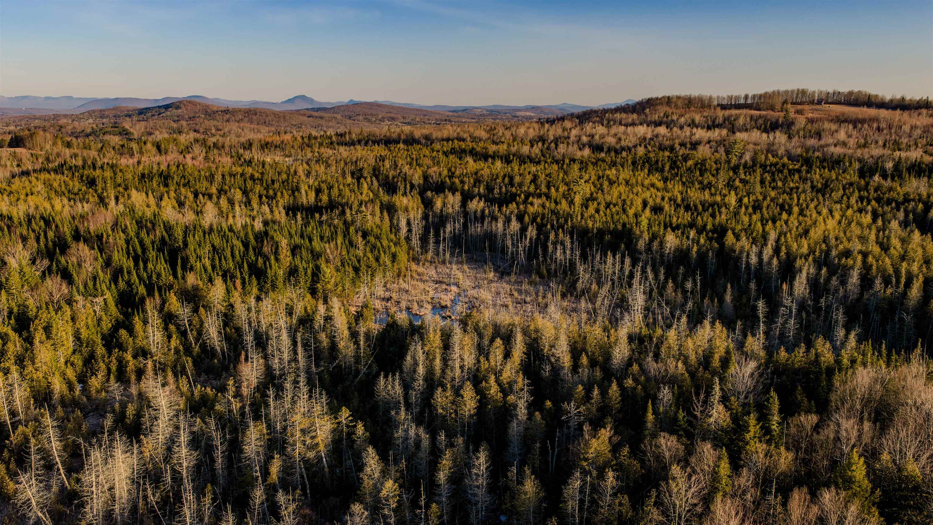 2840 Dane Hill Road Charleston, VT 05872 - Photo 9 of 11