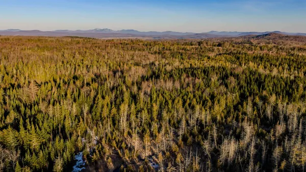 $85,000 | 2840 Dane Hill Road, Charleston, VT 05872