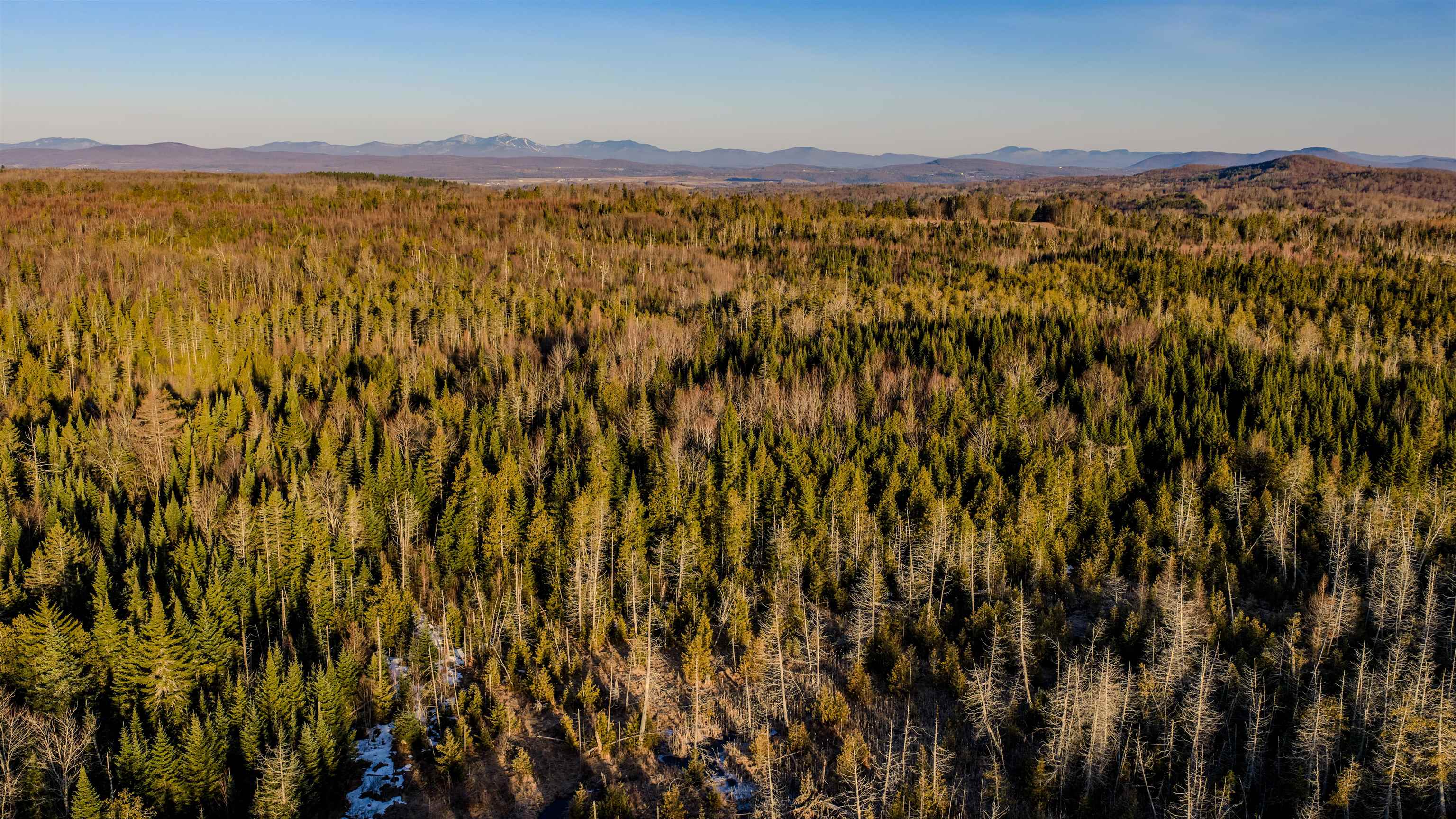 2840 Dane Hill Road Charleston, VT 05872 - Photo 10 of 11