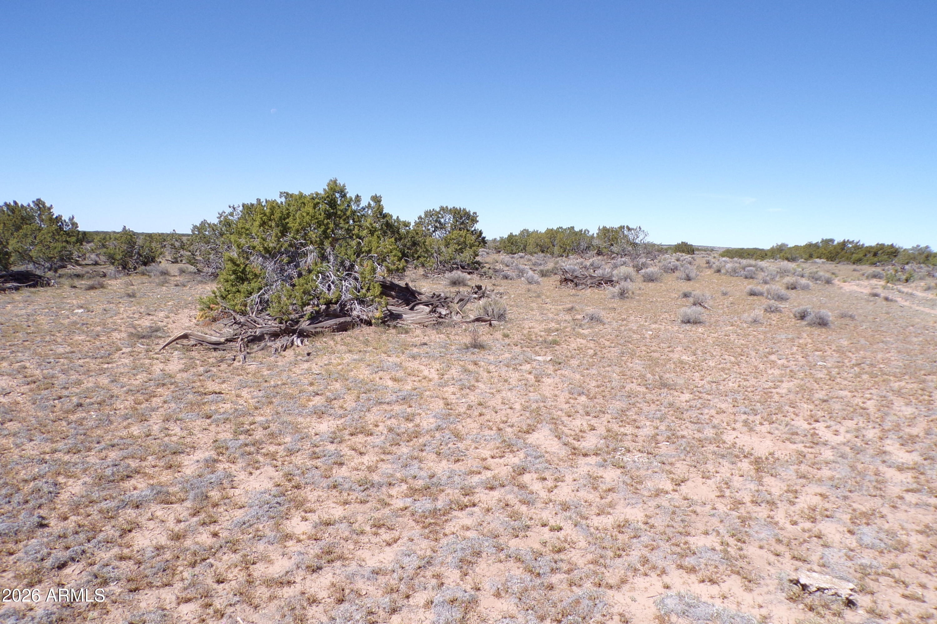 0 Ranch Road Sanders, AZ 86512 - Photo 11 of 42 a view of a dry field