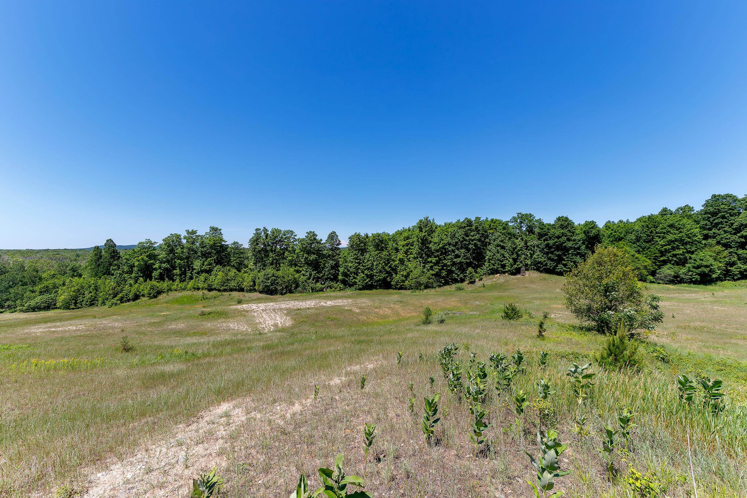 0 Nessen City Road Copemish, MI 49625 - Photo 10 of 17