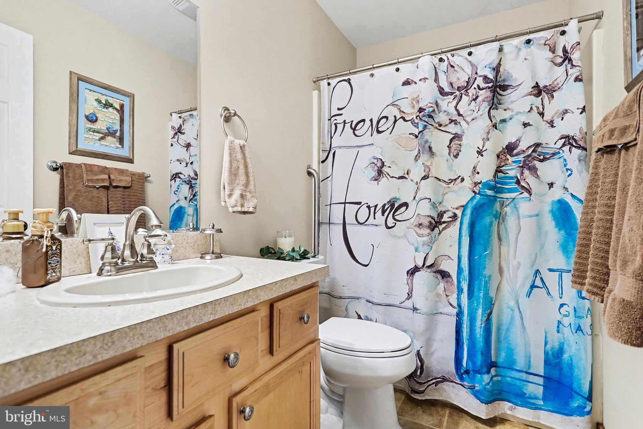 27 Ridge Road Lititz, PA 17543 - Photo 48 of 61 a bathroom with a sink mirror vanity and toilet