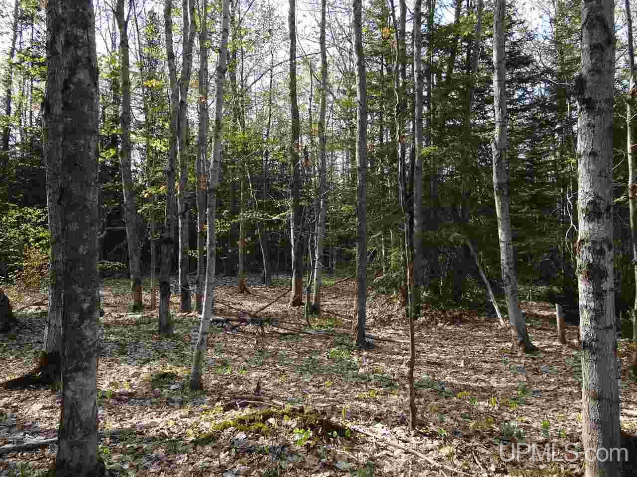 Tbd Rauhala Road, Unit PARCEL 2 Atlantic Mine, MI 49931 - Photo 12 of 19 Gallery Image 12