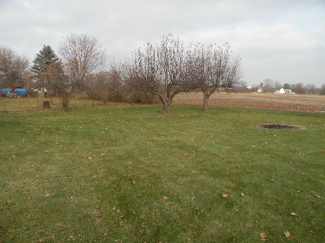 6123 South Byron Road Durand, MI 48429 - Photo 33 of 34 31367174-32.JPG
