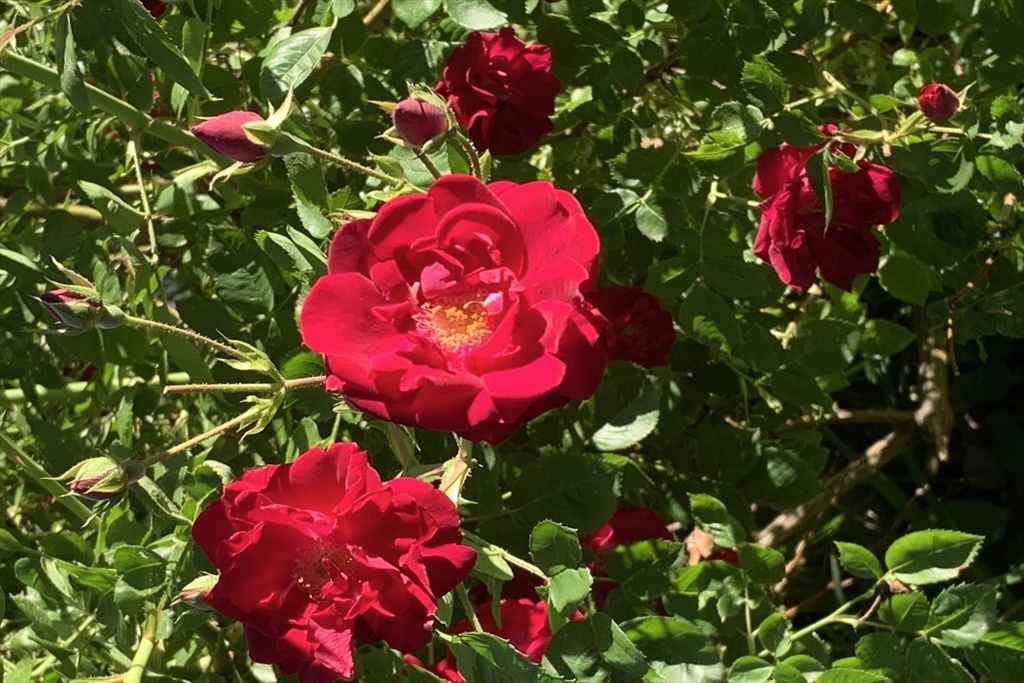 74 Thrasher Hill Road Worthington, MA 01098 - Photo 37 of 40