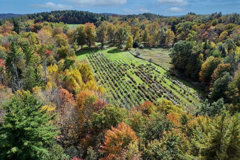 74 Thrasher Hill Road Worthington, MA 01098 - Photo 38 of 40