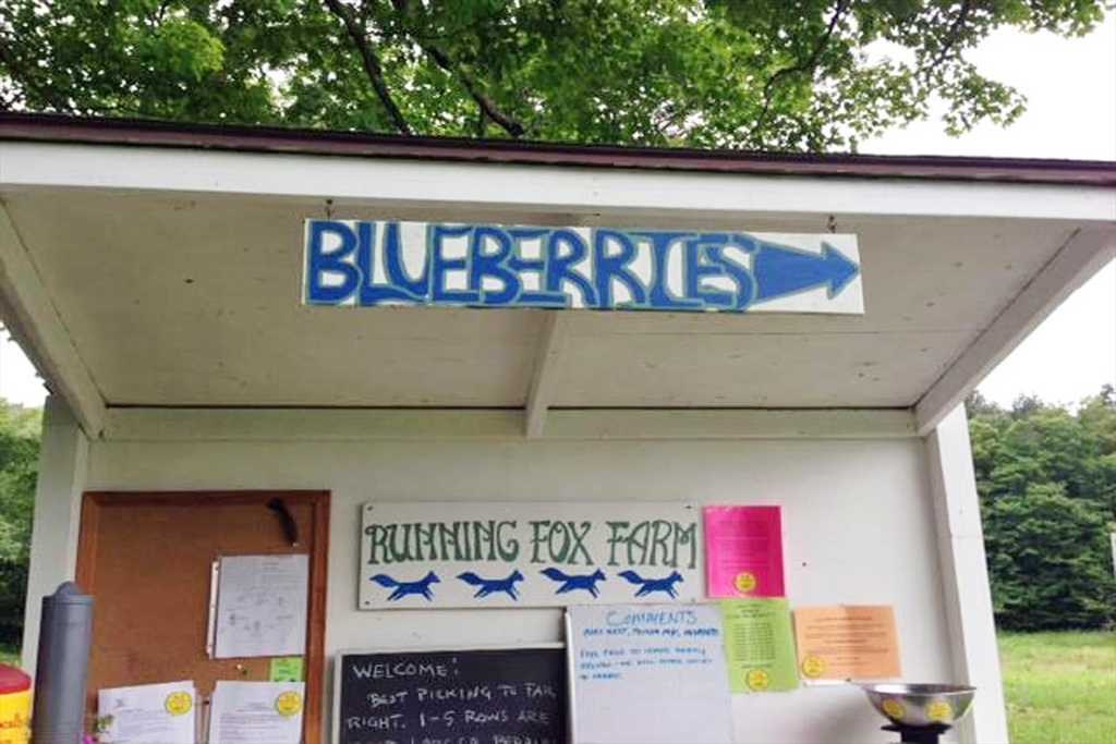 74 Thrasher Hill Road Worthington, MA 01098 - Photo 39 of 40