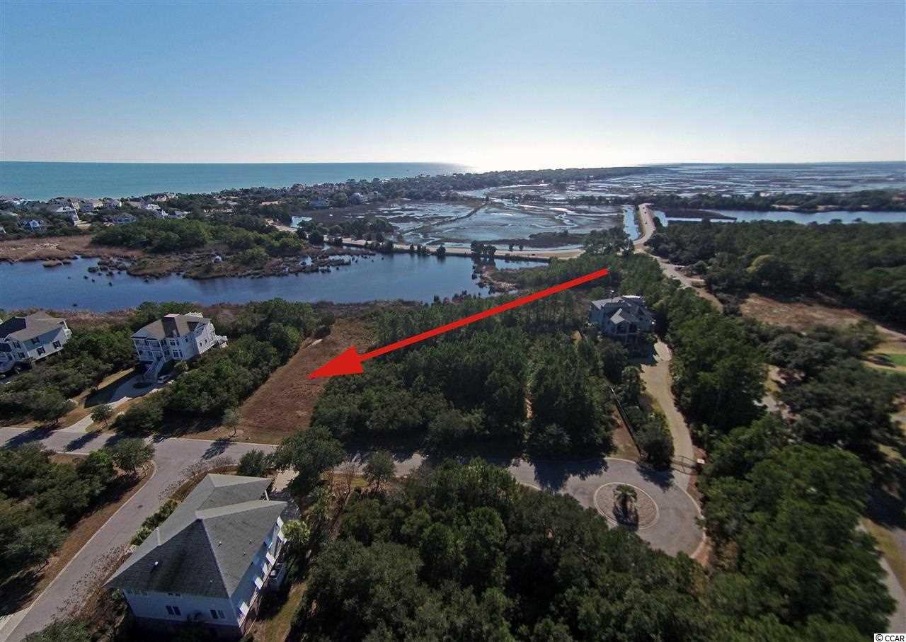 Lot 9 Permit Court Georgetown, SC 29440 - Photo 1 of 17 Gallery Image 1