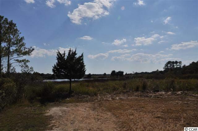 Lot 9 Permit Court Georgetown, SC 29440 - Photo 6 of 17 Gallery Image 6