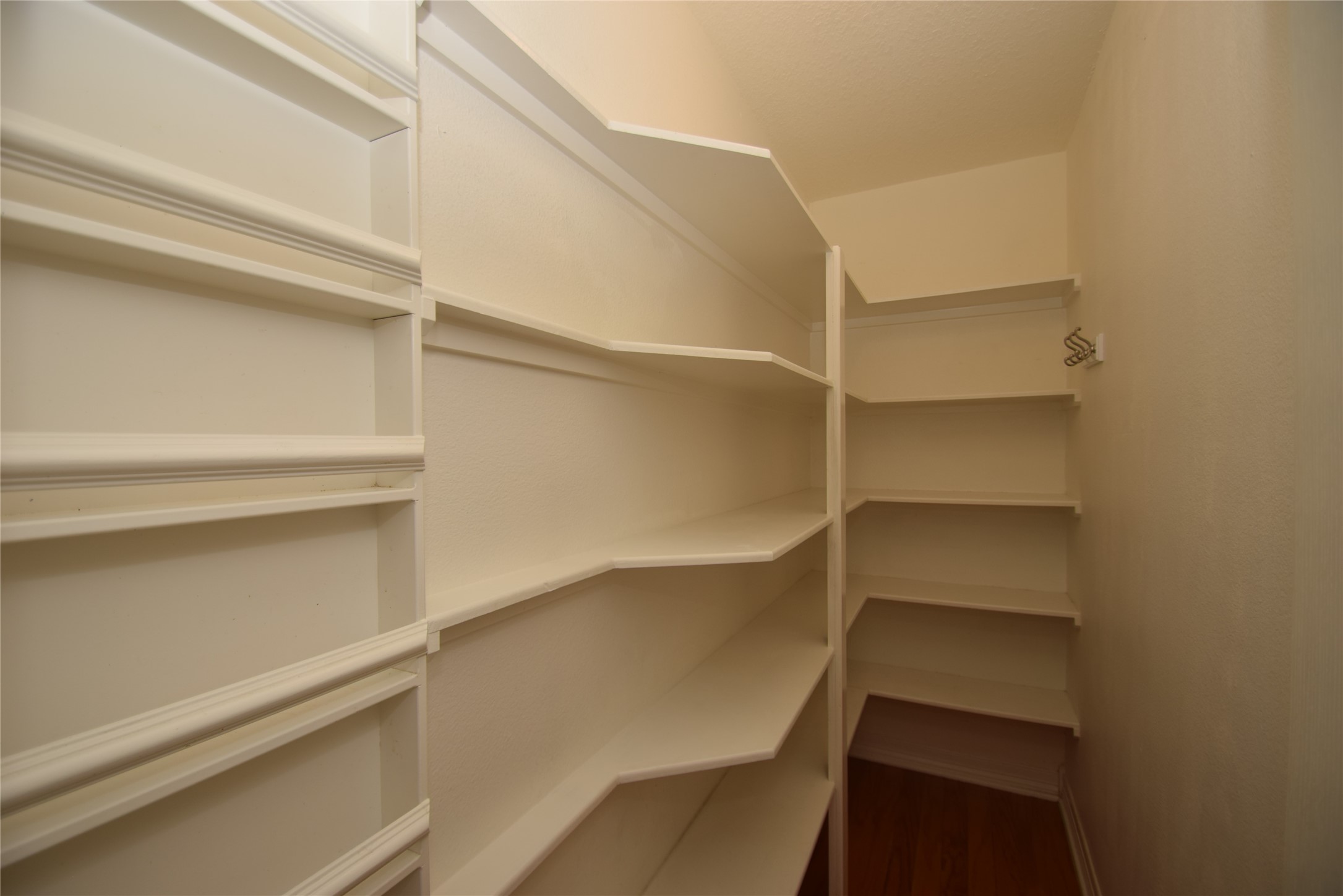 22018 Rustic Shores Lane Katy, TX 77450 - Photo 18 of 46 Huge walk-in pantry.