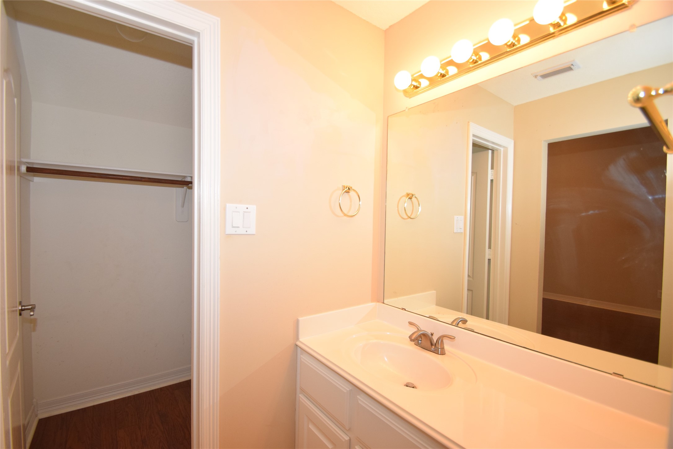 22018 Rustic Shores Lane Katy, TX 77450 - Photo 29 of 46 Hollywood style bath with a walk-in closet.