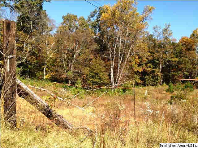 7067 Sellers Road Dora, AL 35062 - Photo 2 of 4