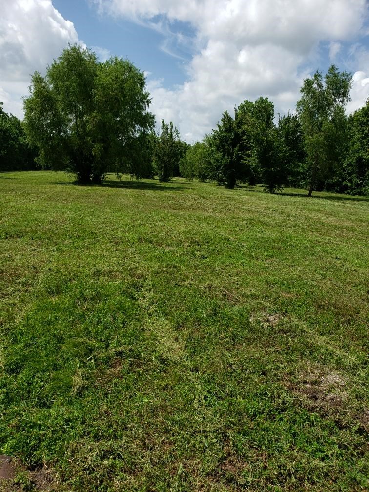 5735 Grapevine Street Houston, TX 77045 - Photo 2 of 3