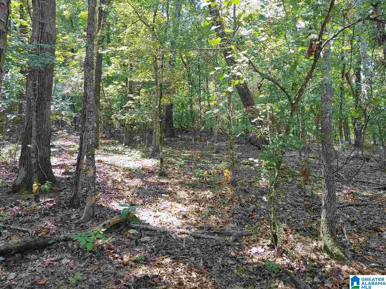 405 Cherokee Road, Unit 6 Cropwell, AL 35054 - Photo 8 of 20