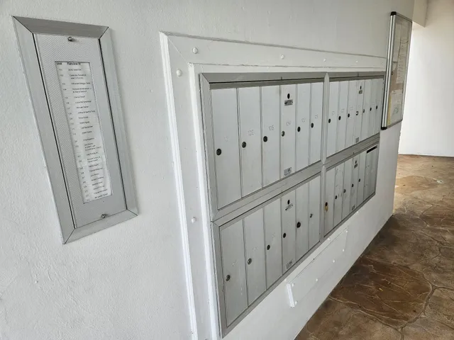 a view of a swimming pool with a garden and plants