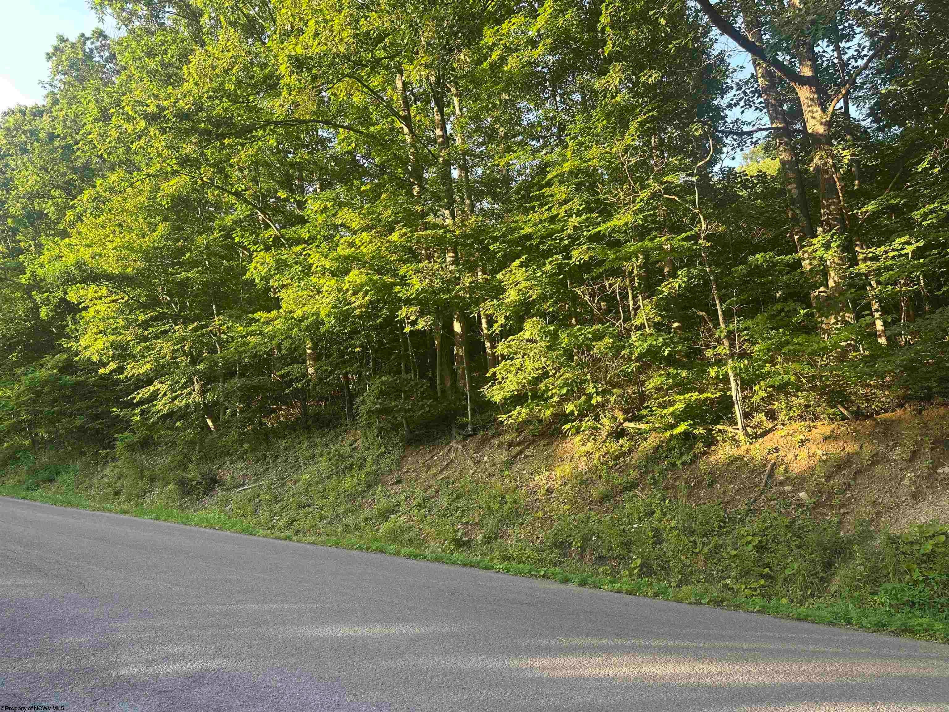 0 Saltlick Road Terra Alta, WV 26764 - Photo 6 of 8 Gallery Image 6