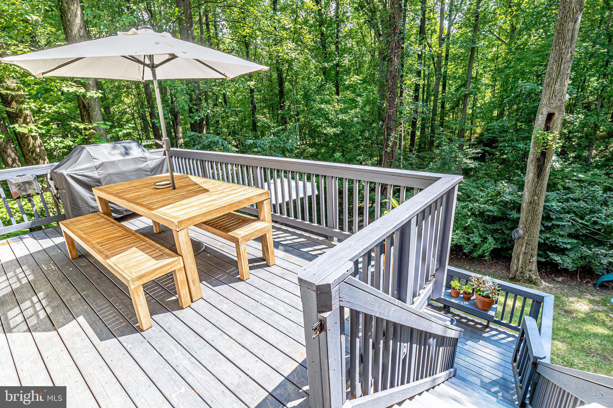 11696 Stockbridge Lane Reston, VA 20194 - Photo 70 of 76 upper deck