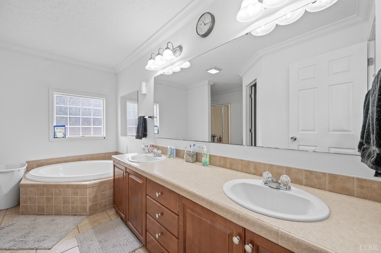 1689 Otter Hill Road Bedford, VA 24523 - Photo 41 of 45 a bathroom with a double vanity sink a mirror and a bathtub