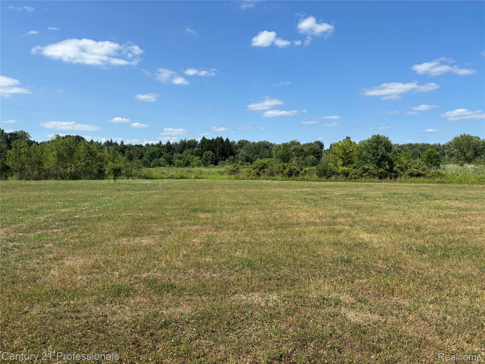 0 Callis Road Lapeer, MI 48446 - Photo 42 of 45 IMG_3966.jpeg