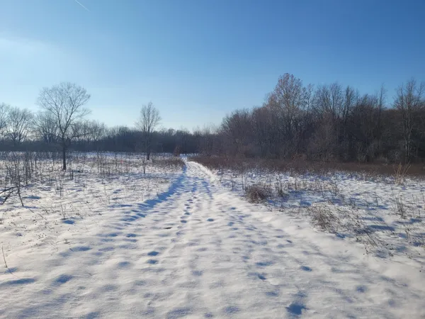 $443,421 | 10809 North 12th Street, Plainwell, MI 49080