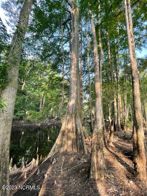 0 Helltown Road Garland, NC 28441 - Photo 5 of 6 SOUTH RIVER CYPRESS TREES