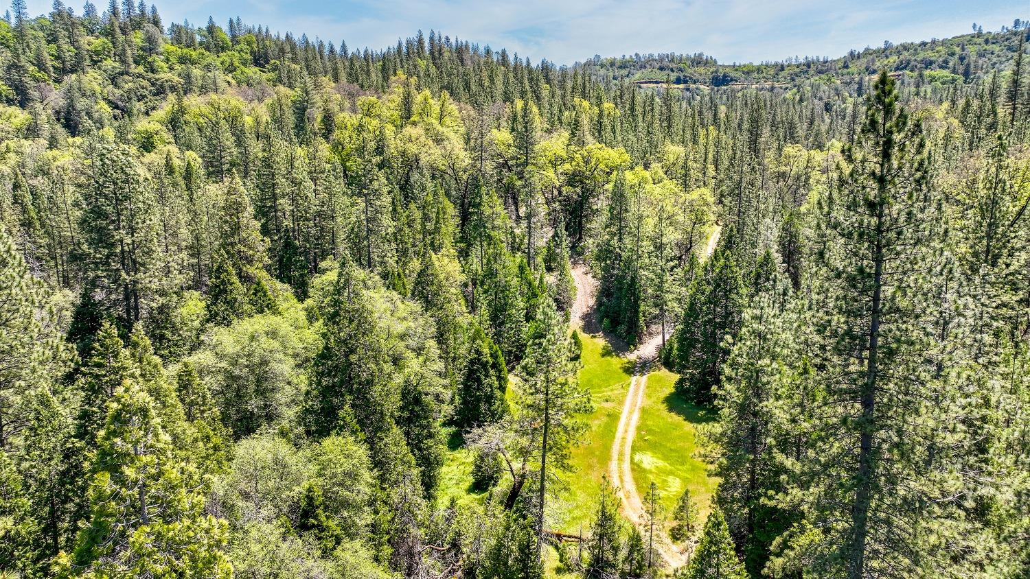 7698 Swiss Ranch Road Mountain Ranch, CA 95246 - Photo 15 of 63