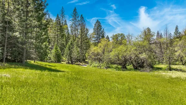 a view of a lush green hillside and a mountain