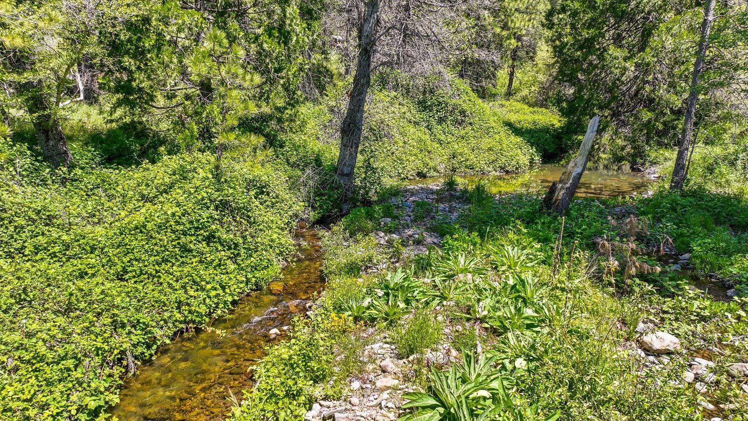 7698 Swiss Ranch Road Mountain Ranch, CA 95246 - Photo 22 of 63