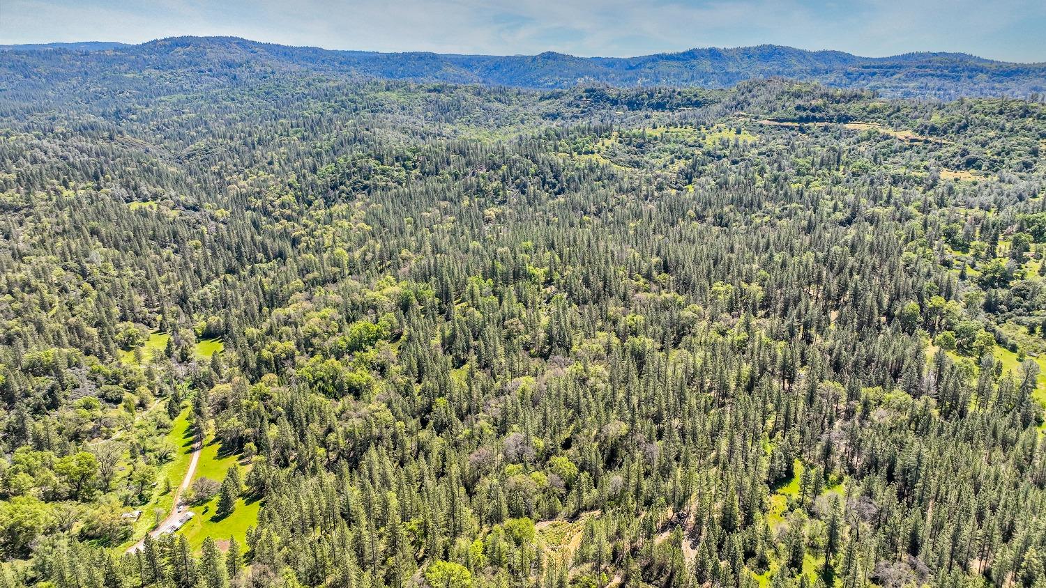 7698 Swiss Ranch Road Mountain Ranch, CA 95246 - Photo 25 of 63