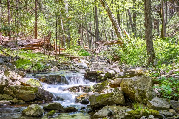 a view of a yard and swimming pool