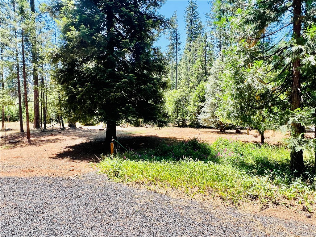 15793 Coutolenc Road Magalia, CA 95954 - Photo 31 of 33