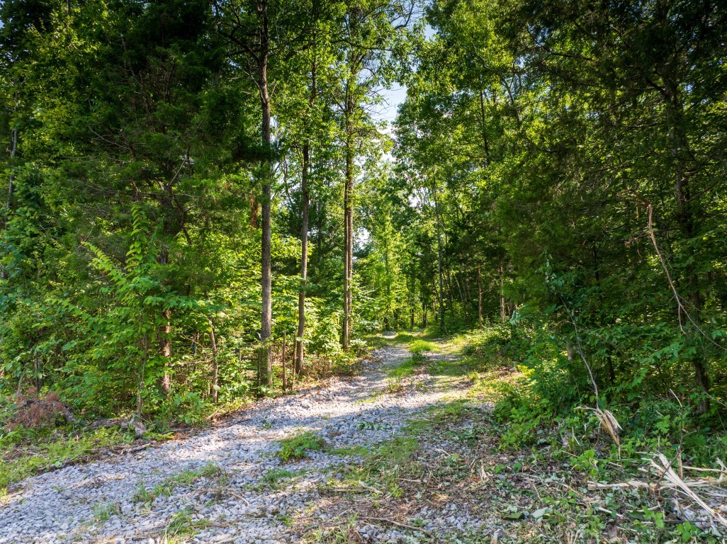 0 McElroy Road Readyville, TN 37149 - Photo 5 of 19